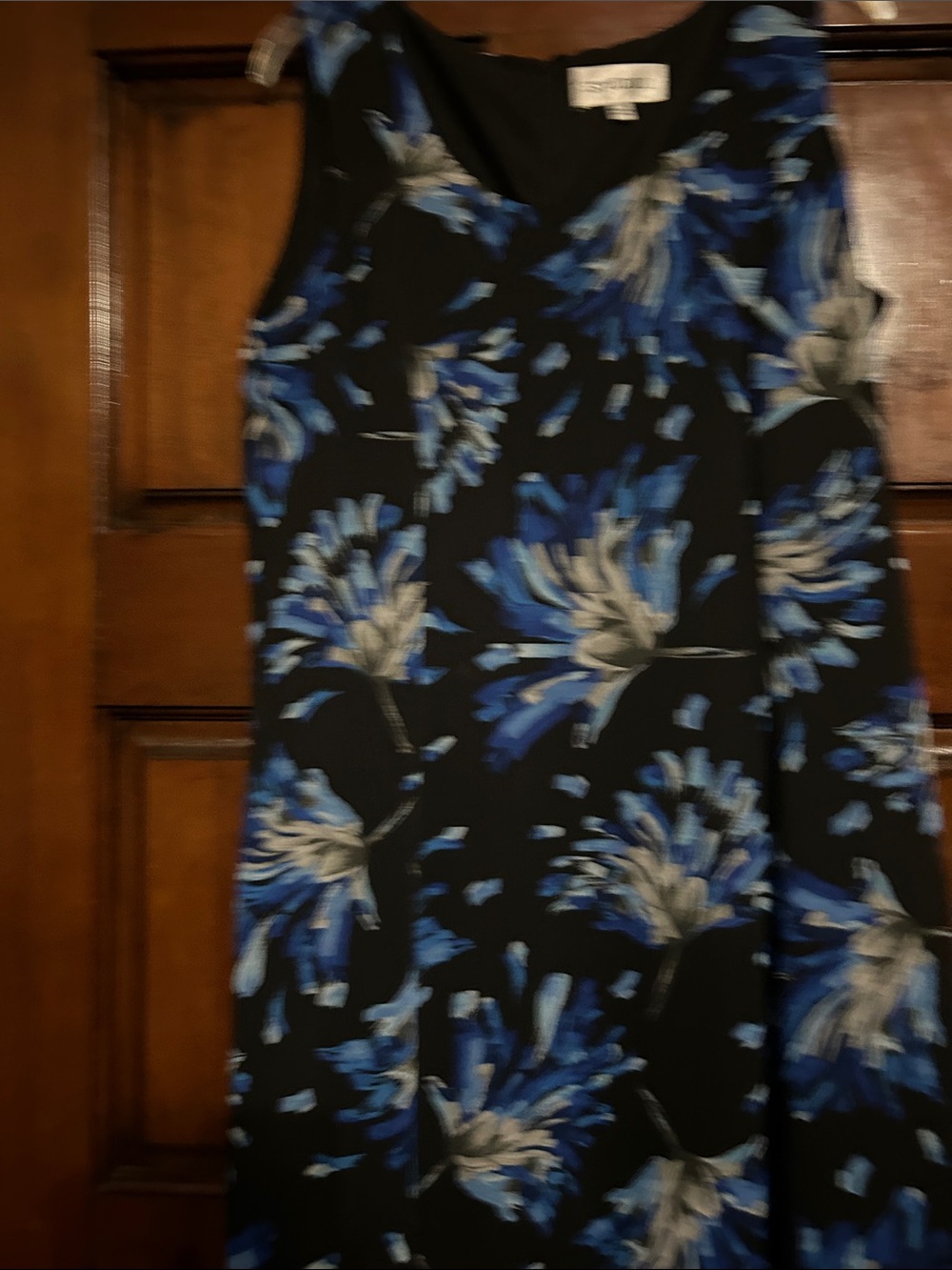 Studio One Black Sleeveless A-Line Dress with Blue and Gray Floral Print - Picture 6 of 8
